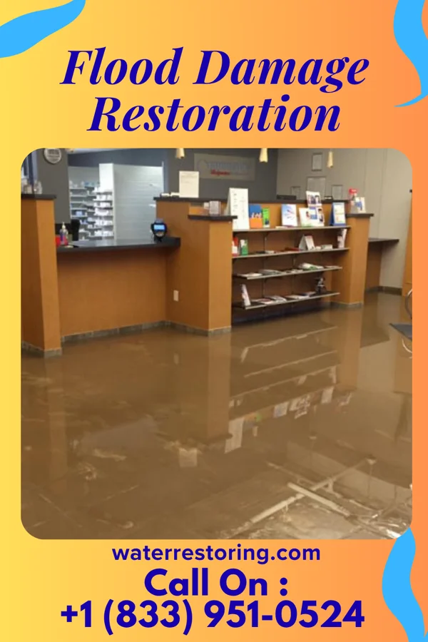 Flood Damage Restoration in Little Silver, NJ