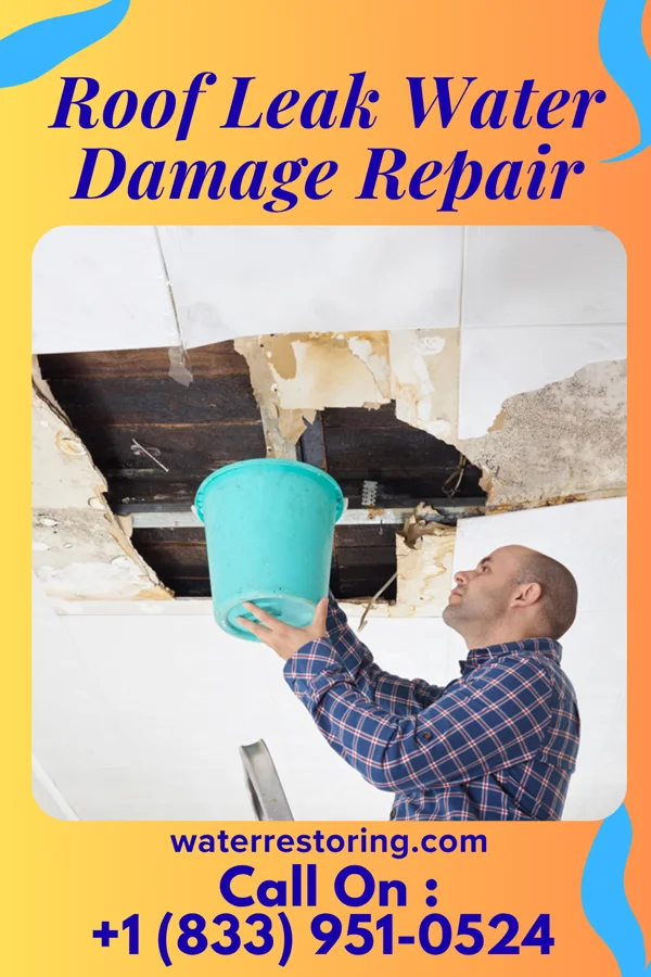 Roof Leak Water Damage Repair in Little Silver, NJ