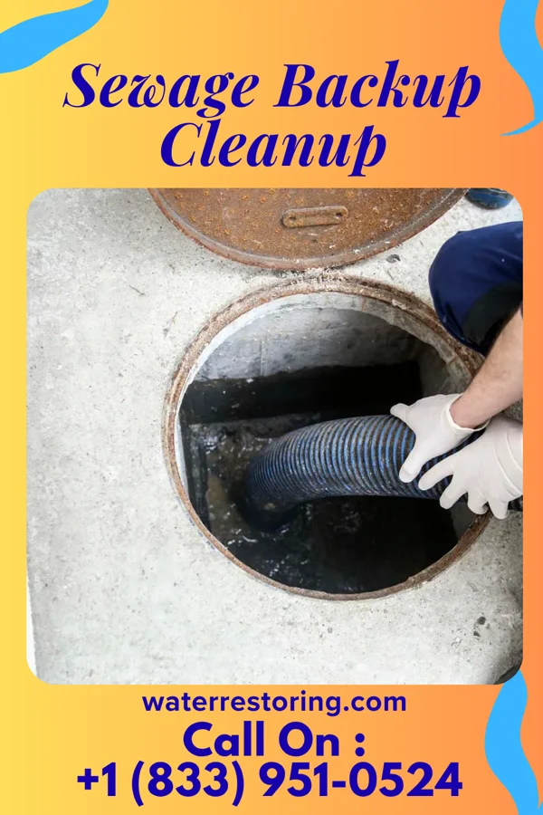 Sewage Backup Cleanup in Little Silver, NJ